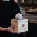 [PRESERVED FLOWER] CHAWAKA MARI WHITE PLUM | UJI TEA AND FLORAL DESIGN| CHAWAKA KYOTO UJI