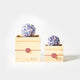 [ดอกไม้ที่เก็บรักษาไว้] Chawaka Mari Kyo-no Shizuku Light Blue | ชา UJI และการออกแบบดอกไม้ | Chawaka Kyoto Uji