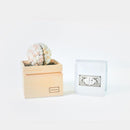 [GIFT SET] CHAWAKA MARI AND SENCHA SET WHITE PLUM | UJI TEA AND FLORAL DESIGN| CHAWAKA KYOTO UJI