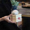 [GIFT SET] CHAWAKA MARI AND SENCHA SET WHITE PLUM | UJI TEA AND FLORAL DESIGN| CHAWAKA KYOTO UJI