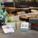 [GIFT SET] CHAWAKA MARI AND SENCHA SET TACHIBANA YELLOW | UJI TEA AND FLORAL DESIGN| CHAWAKA KYOTO UJI