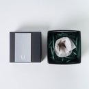 [CUP] NIHOF WAVE | LACQUERWARE| U-EN ART