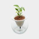 [VASE] AUTOMATIC WATER SUPPLY TYPE PLANTER SUISUI -SUI- + ROUND GLASS SET | KYU-EMON | IMARI-ARITA WARES